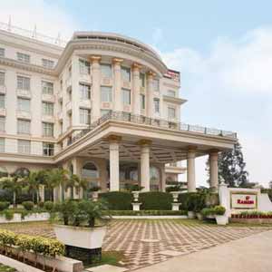 escorts service in chandigarh hotels